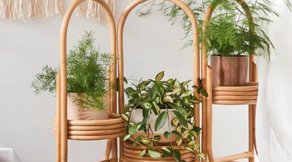 Bamboo Planters: Easy and Eco-Friendly Gardening at Home
