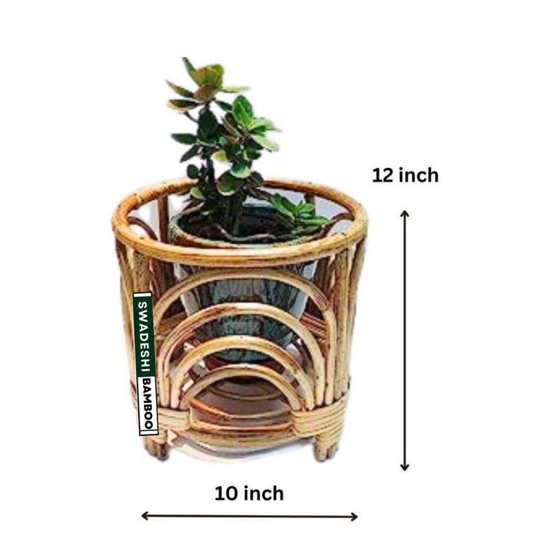 Bamboo Cane planter (pack of 2)