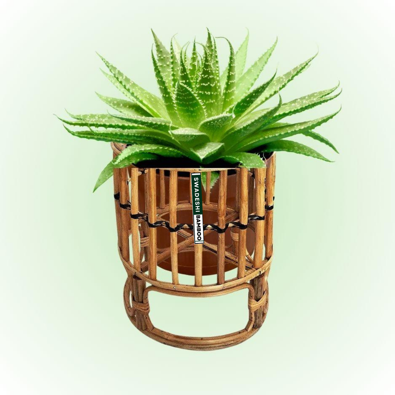 Bamboo small planter