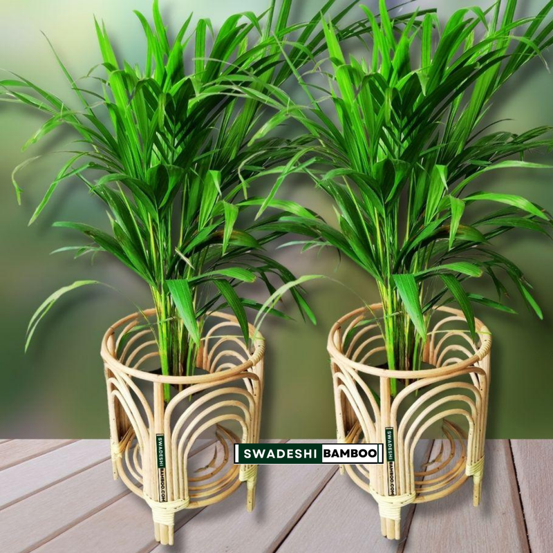 planter (pack of 2)