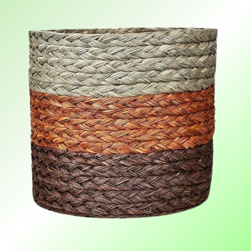Sabai Grass Planter