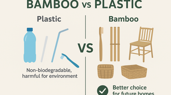 Why Bamboo is Better than Wood or Plastic