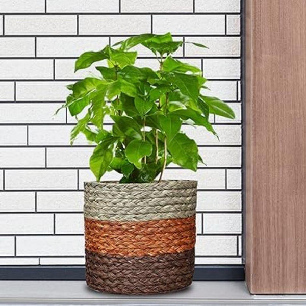 Handcrafted Sabai Grass Planter - swadeshibamboo