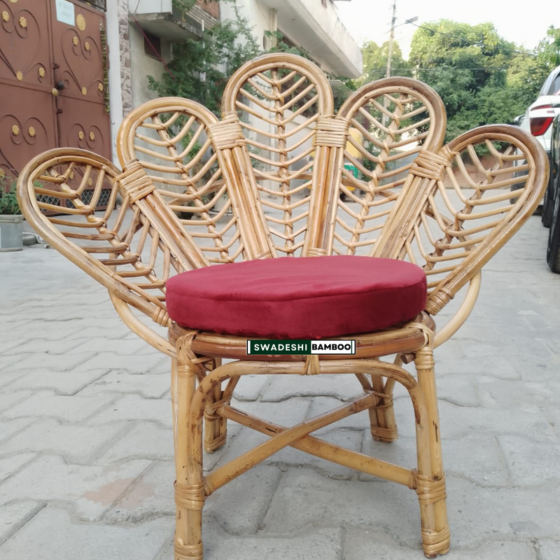 Modern Leaf Design Bamboo Cane Chair for Living Room, Lawn, Restaurant, Studio, Cafe with Cushion