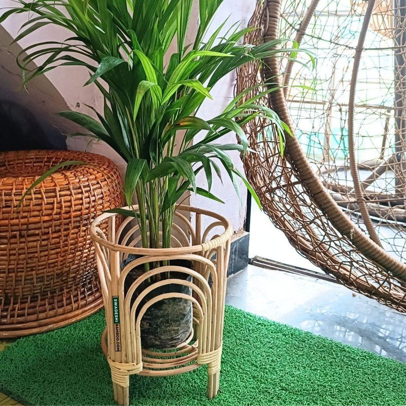 Cane Bamboo Planter (Set of 2) Stand for Garden, Balcony Home and Office | Size- 10W*12H Inch - swadeshibamboo