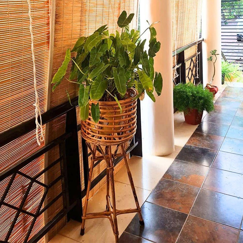 Swadeshi Bamboo Cane Bamboo Rattan Standing Planter (Set of 1) Stand with for Garden, Balcony Home and Office - swadeshibamboo