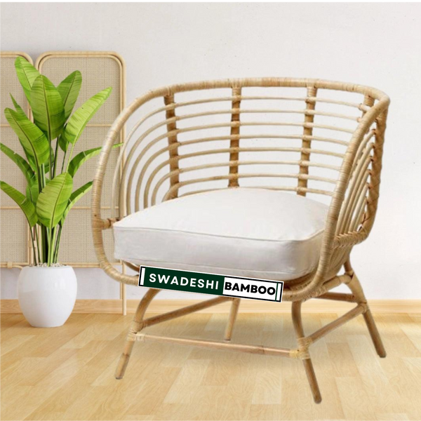 Bamboo cane arm chair