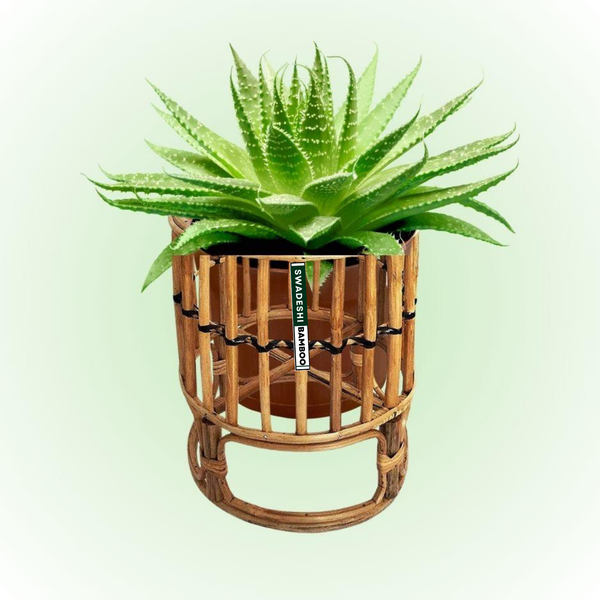 Bamboo small planter 