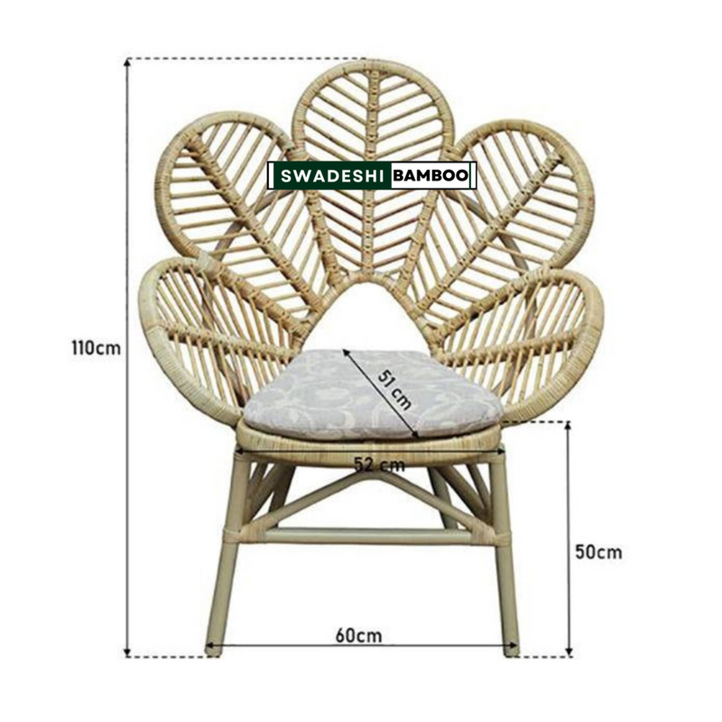 Chair for Cafe with Cushion