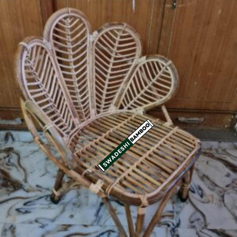  Chair for Lawn