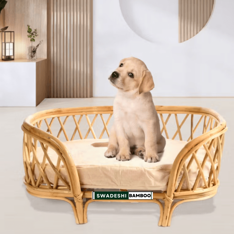 Dogs Cats Pet Beds - Main Image