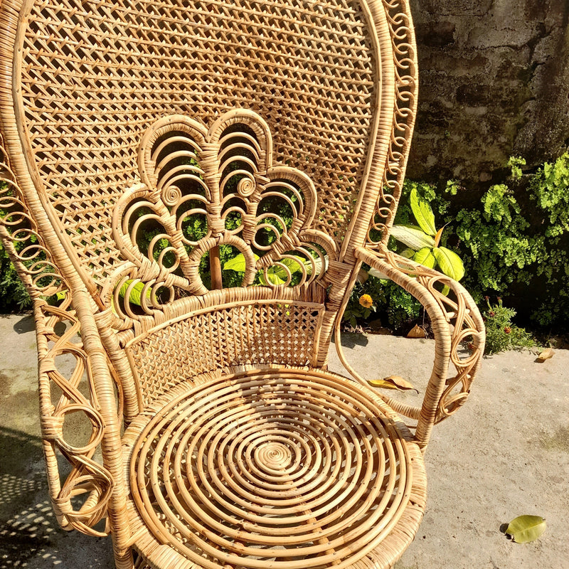 Bamboo Cane Webbing Peacock Chair For Living Room