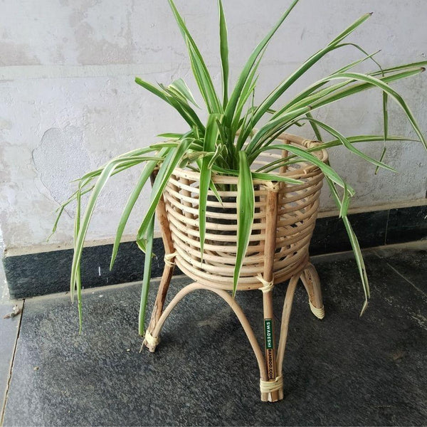 Swadeshi Bamboo (Set of 1) Cane Bamboo Rattan Wooden Planter Stand for Garden, Balcony Home and Office | Size- 11W*14H Inch - swadeshibamboo