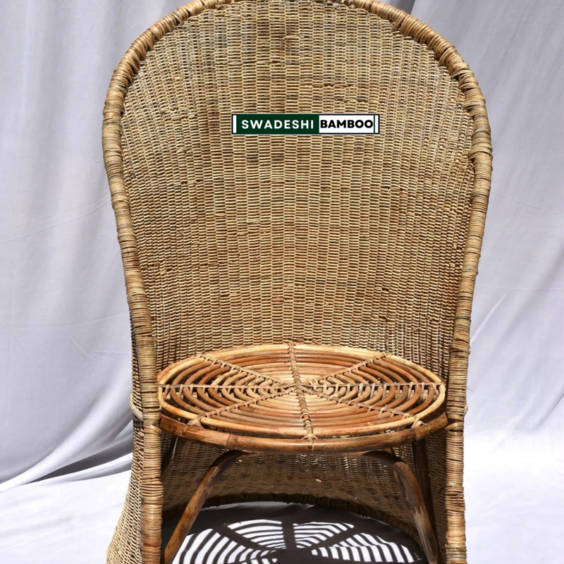 dolphin-themed-chair