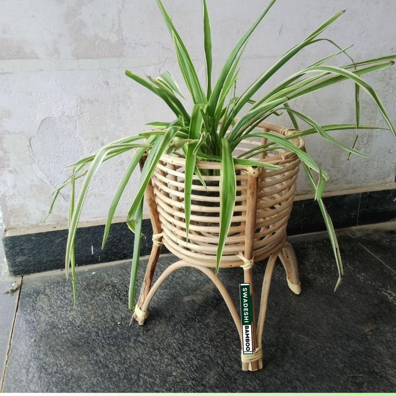 wood planter